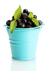 blueberris in bucket with mint isolated on white