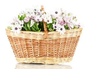 bouquet of beautiful summer flowers in basket, isolated on