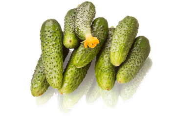 Fresh cucumbers