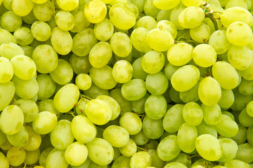 Many white grapes to use as background 