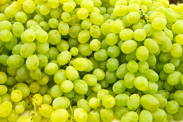 Many white grapes to use as background 