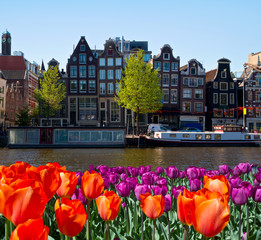 Obraz premium Jeden z kanałów w Amsterdamie