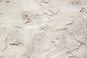 white wall