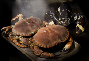 crab and lobster
