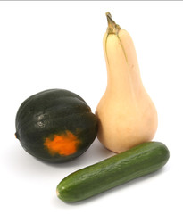 Two pumpkins and one cucumber