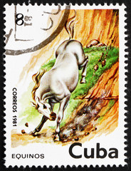 Postage stamp Cuba 1981 Horse, Equus Ferus Caballus