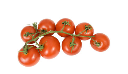 small delicious vine tomatoes, isolated