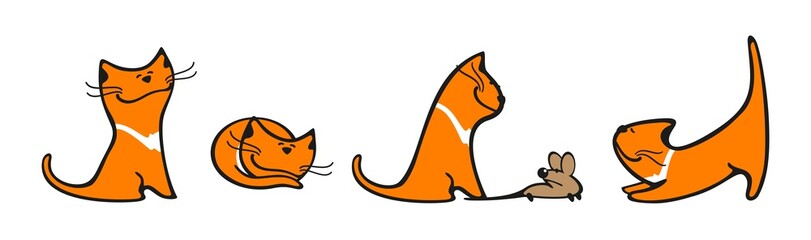 Set of images of a cat