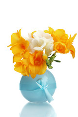 Beautiful yellow freesias in vase isolated on white