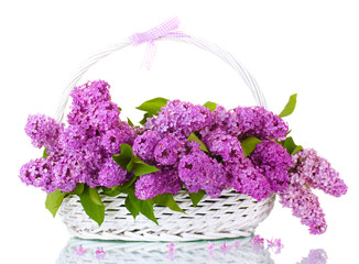 beautiful lilac flowers in basket isolated on white