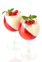 fruit jelly with chocolate and berries in glasses isolated
