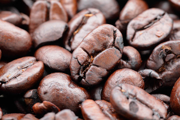 coffee bean close up