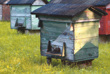 Kolorowe Ule © Wojciech Lisiński