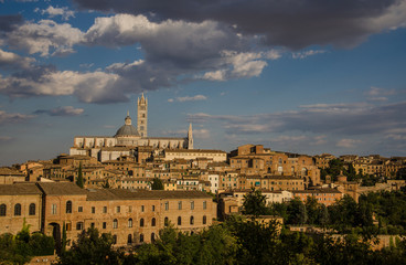 Fototapeta premium siena
