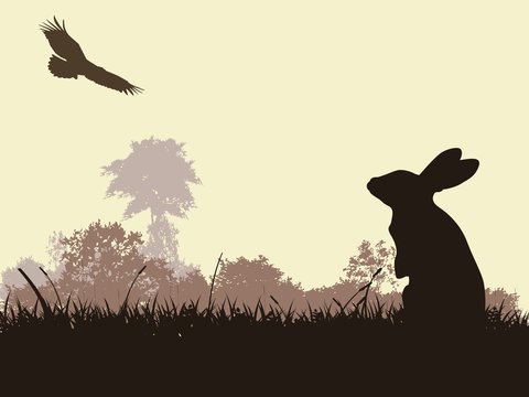 rabbit silhouette with eagle fling and forest background