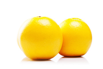 fresh white grapefruits