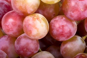 Fresh red grapes in a closeup