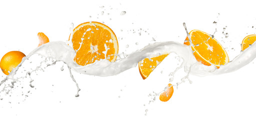  Oranges in milk splash, isolated on white background 