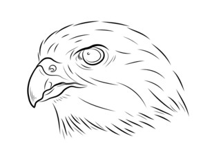The stylised head of a hawk