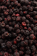 Brombeeren