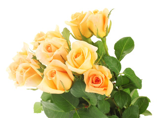 beautiful bouquet of roses isolated on white