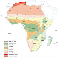 Afrika, Vegetationszonen