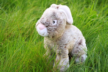 peluche