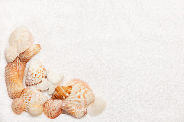 Sea Shell Border on White Fluffy Towel Texture Background