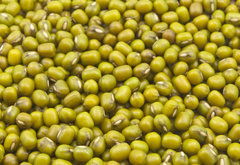 whole fresh seeds of green gram