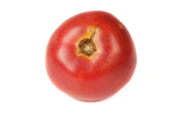 one tomato