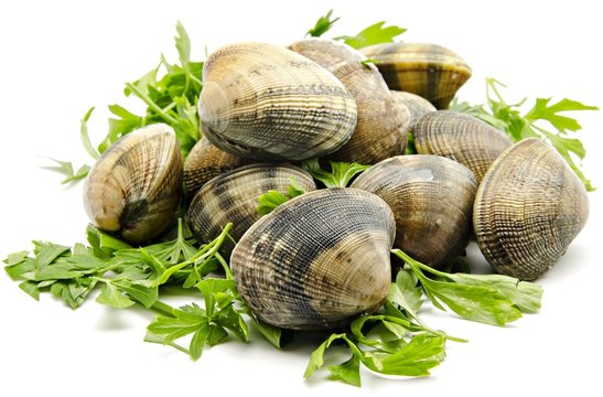 Almejas
