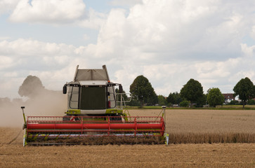 Fototapeta premium Ein Mähdrescher bei der Ernte