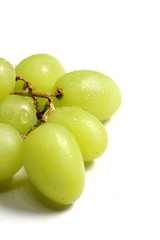 fresh green grapes