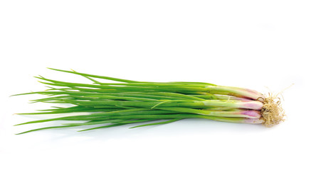 beautiful spring onions on a white background.