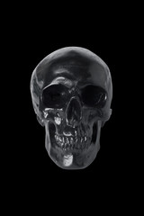 Black skull isolated