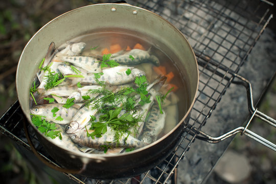 preparing a soup of fish