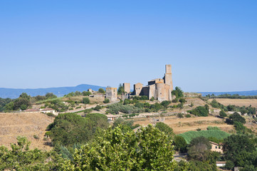 Fototapeta na wymiar Panoramiczny widok Tuscania. Lacjum. Włochy.