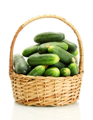 fresh cucumbers in basket isolated on white