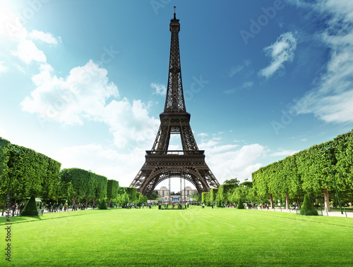 природа страны архитектура Франция Париж Эйфелева Башня река деревья nature country architecture France Paris Eiffel Tower river trees загрузить