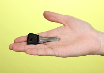 Key in hand on green background