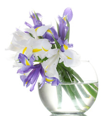 Beautiful bright irises in vase isolated on white © Africa Studio