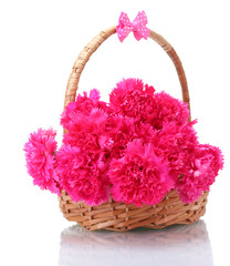 Fototapeta na wymiar Beautiful pink carnations in basket isolated on white