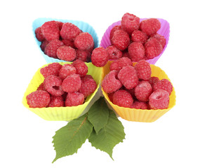 Fresh raspberries in silicone molds isolated on white