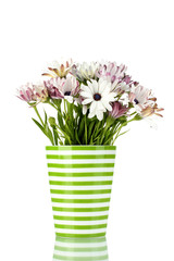 bouquet of beautiful summer flowers in vase, isolated on white