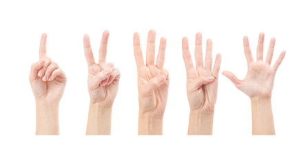 Counting woman hands (1 to 5) isolated on white background