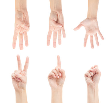 Counting woman hands (0 to 5) isolated on white background