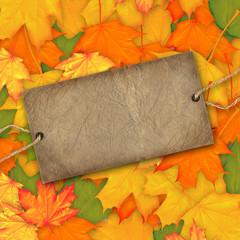 Autumn background with card label