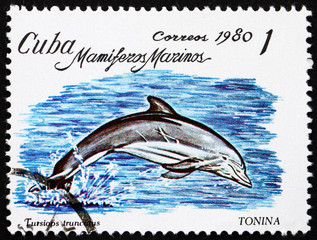 Postage stamp Cuba 1980 Bottlenose Dolphin