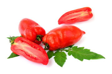 Tomatensorte Andenhorn