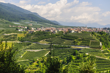 Fototapeta na wymiar Val di Non (Trento)